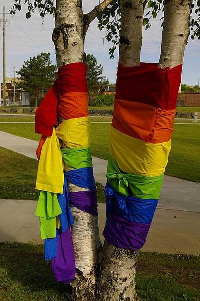 trees wrapped in flags