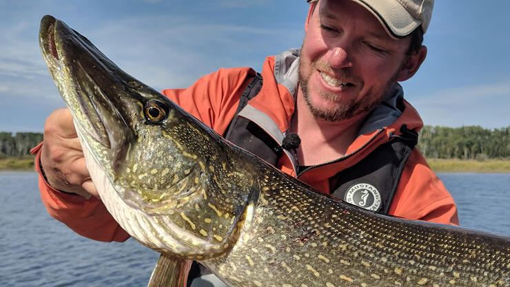 Holding a Large Northern Pike