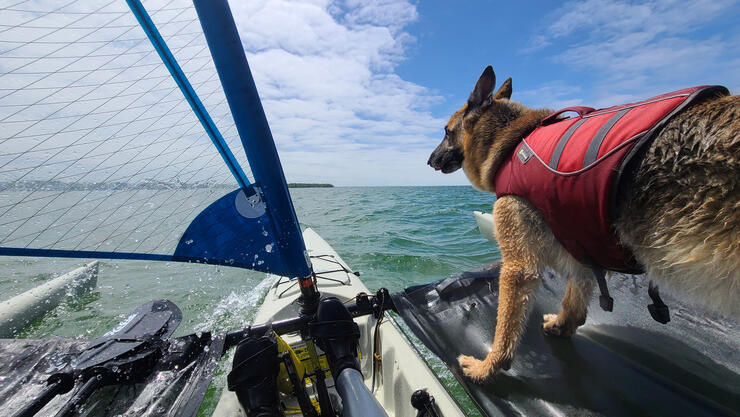 trimaran hobie tandem island mirage