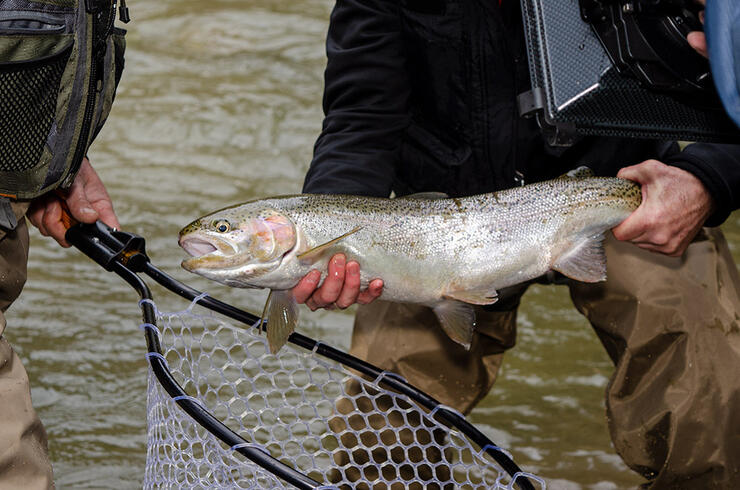 Fishing the Nottawasaga River - A Perfect Drift