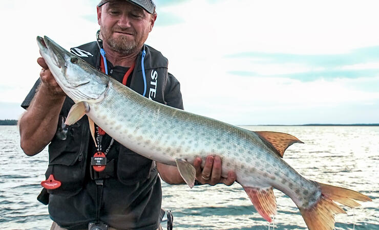 Muskie at Eagle Lake  Northern Ontario Travel