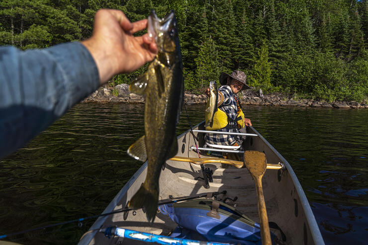 The land where a twister tail on a jig head will catch double header walleye all evening long. Discover your own fishing vacation. Photo: David Jackson