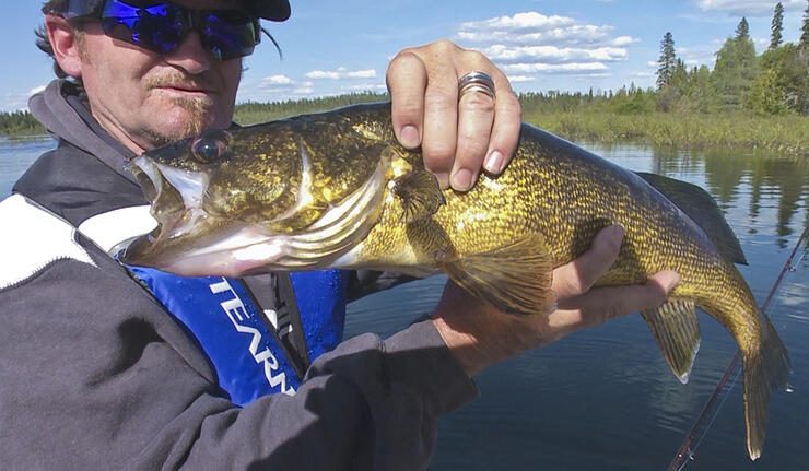 5 Best Paddle-in Fishing Destinations in Ontario