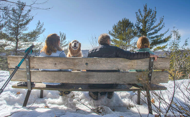 Three people sitting on a bench looking at view and a golden retriever looking back