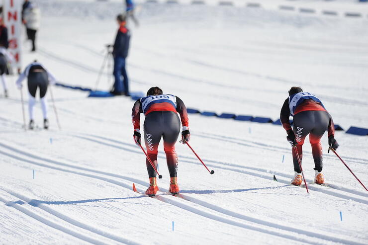 cross-country skiers racing on a track 