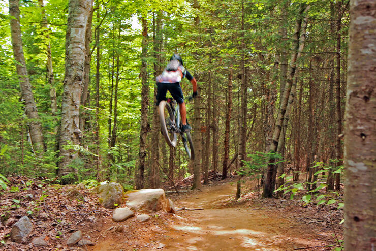 Person on a bike in the air on a mountain bike trail 