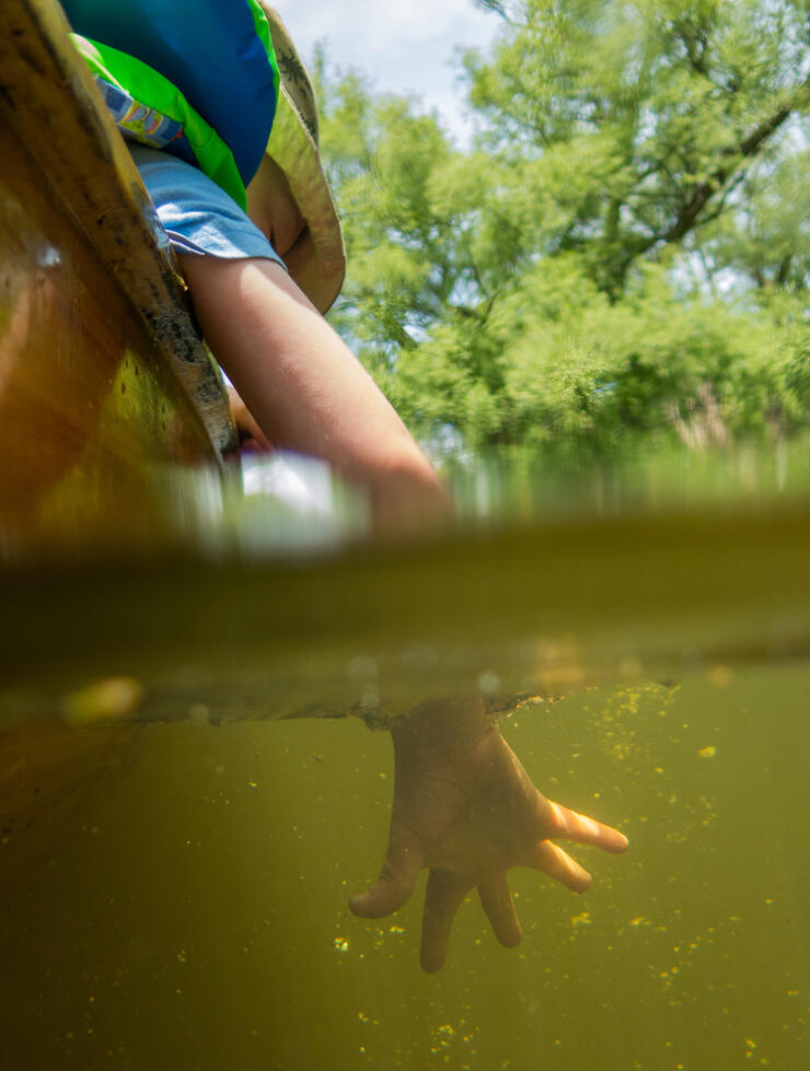 Child leaning over side of canoe with hand submerged in water