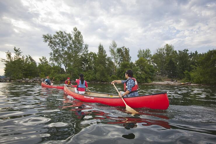 two pairs of people paddling in red canoes