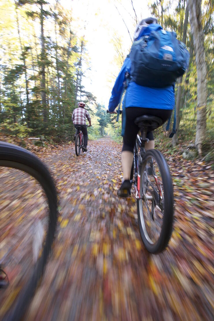 Backs of cyclists riding on trail in autumn