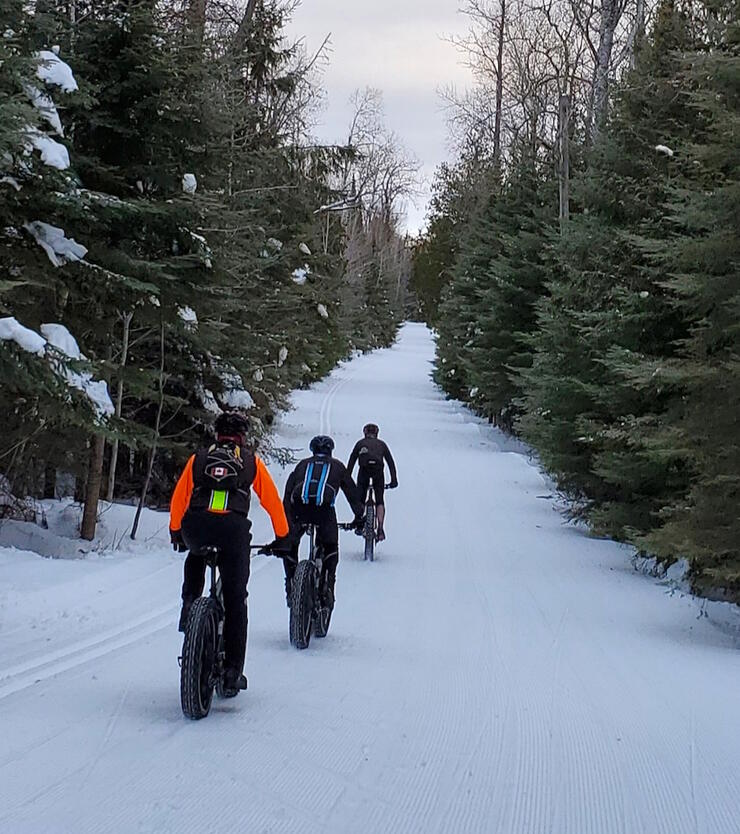 Three people riding fat bikes on a wide winter trail. 