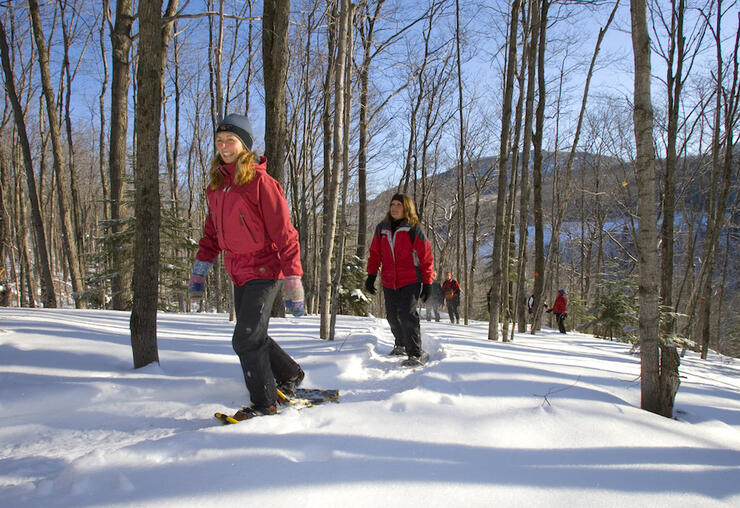 Group of people snowshoeing on a trail in forest