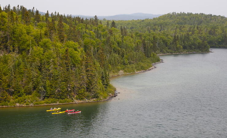 Four kayaks travelling along a beautiful rugged coast 