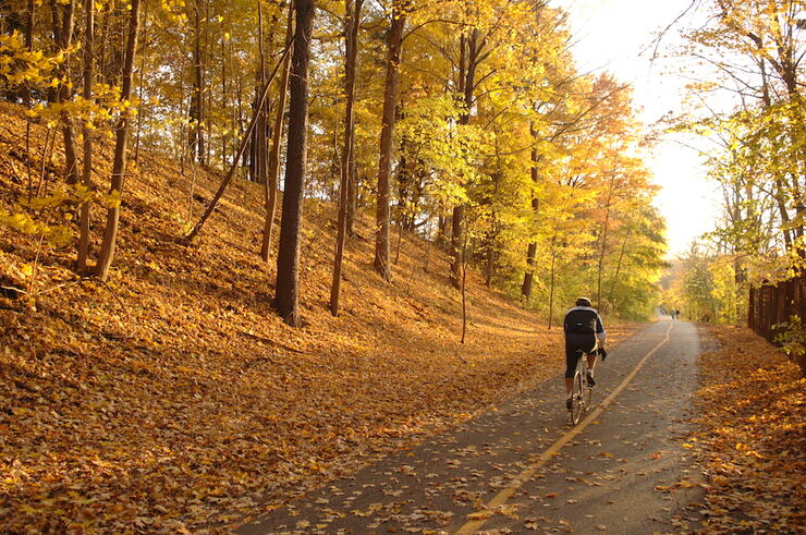 Cyclist riding on a paved pathway in the autumn colours. 