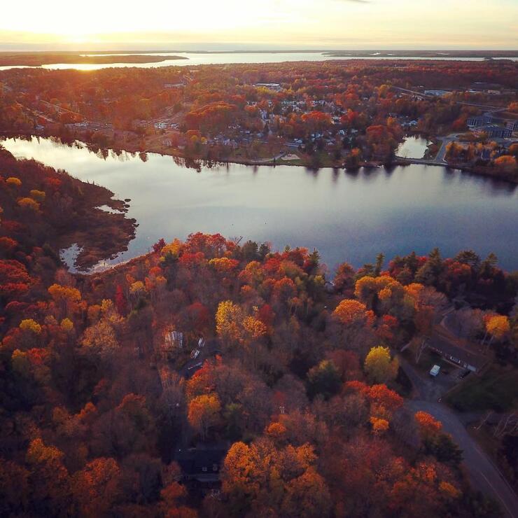 Aerial view in autumn of coloured foliage and river. 