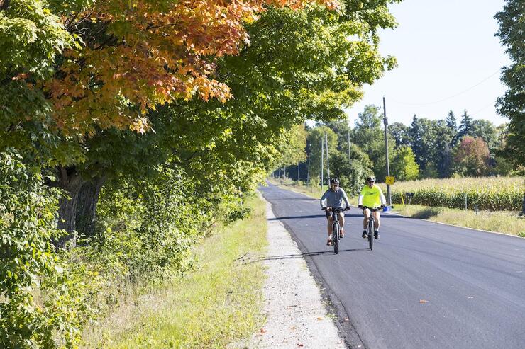 Two cyclists riding side by side on a paved country road. 