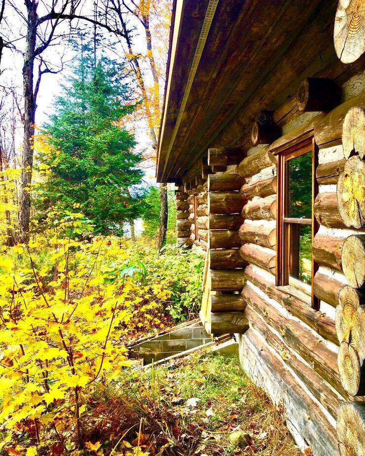 Outside wall of log cabin. 