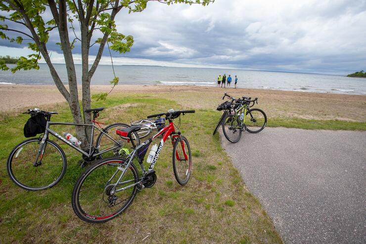 Bicycles parked by a tree with long beach and water in background