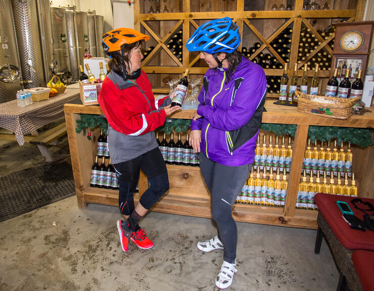 Two cyclists looking a berry wine inside Boreal Berry Winery. 