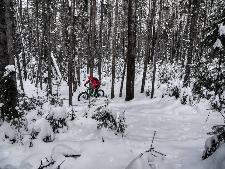 Man riding fat bike on snowy trail in a forest. 