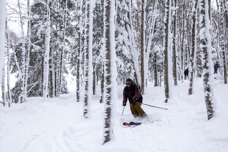 skiing