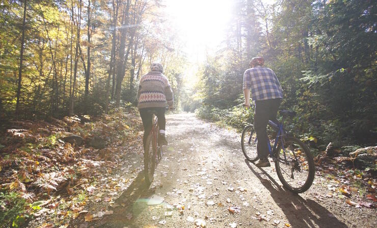 Two people riding on bicycles side by side on a road in the forest. 