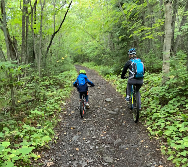 Two people cycling on a gravel path through the forest