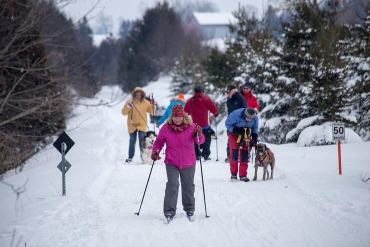 Families cross-country skiing on trails. 