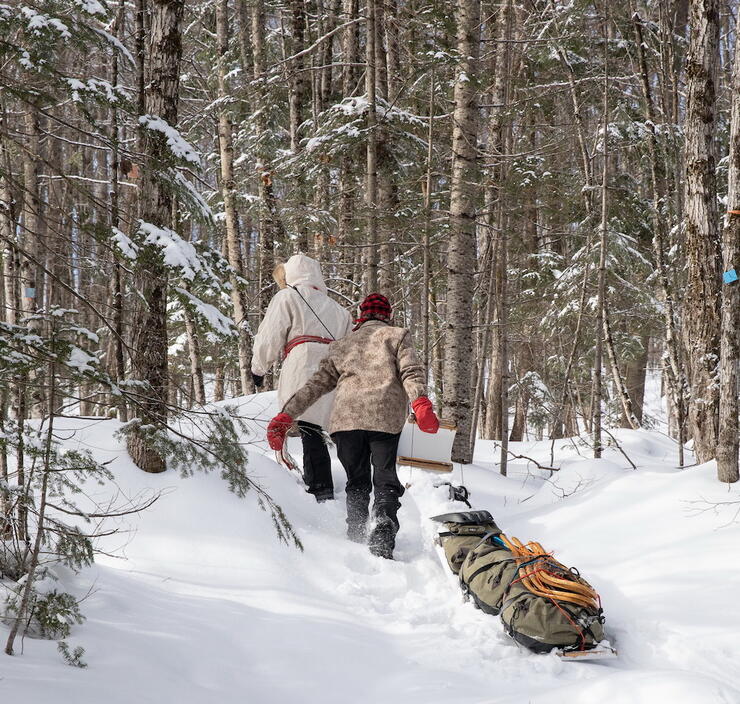 Two people pulling a tobaggan in woods in winter. 