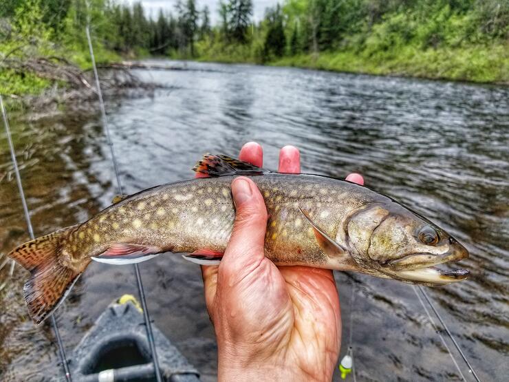 A Grandfather's Advice on Taking Young Kids Fishing - Take Me Fishing