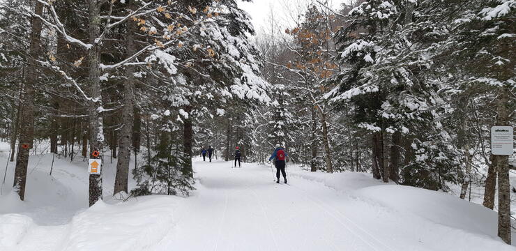 Nordic Skiing and Cultural Adventures in Sault Ste. Marie