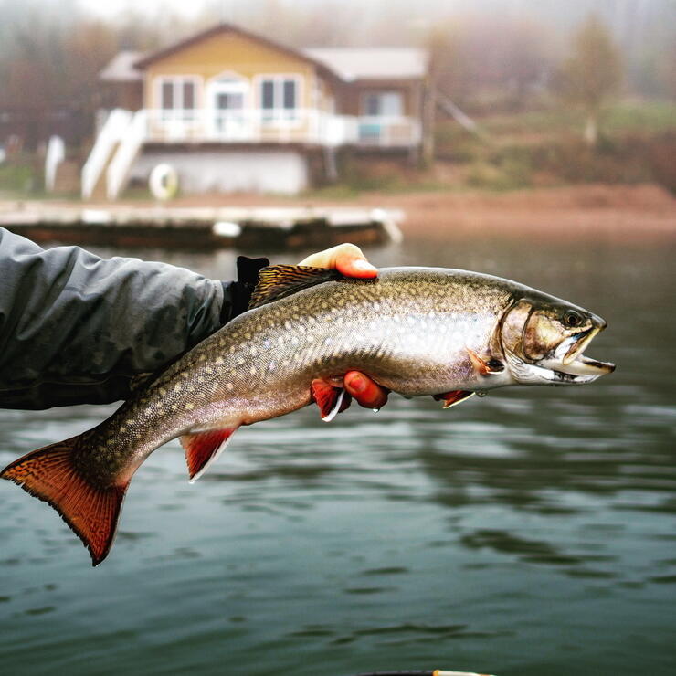 Legendary Fishing - Legendary Brook Trout Fisher Trophy