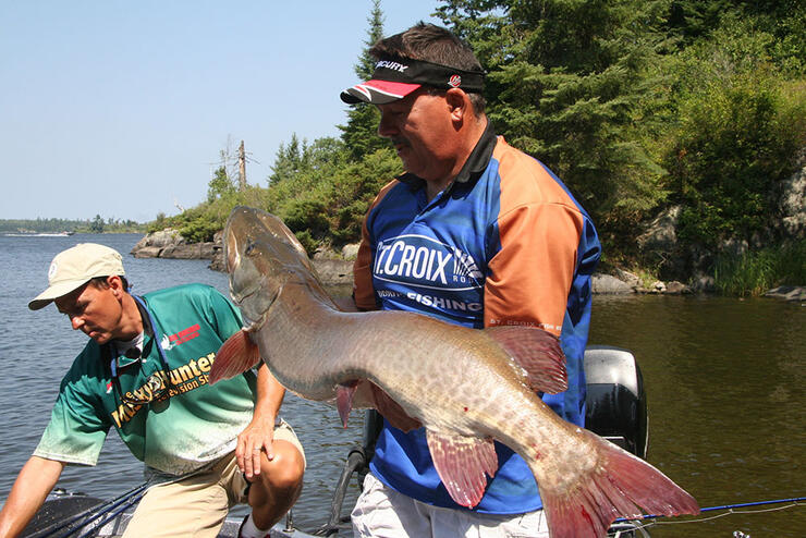 Insane 15 Minute Musky Feeding Window - Summer Musky Fishing 2023 