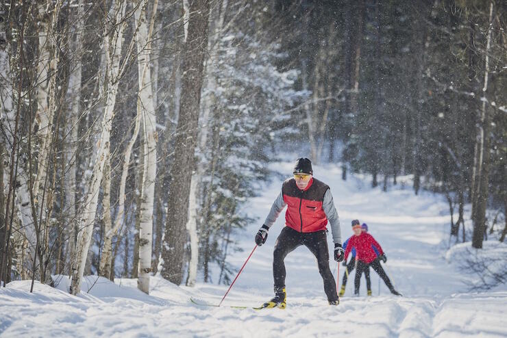 People skate skiing on a snow-covered trail in a forest.