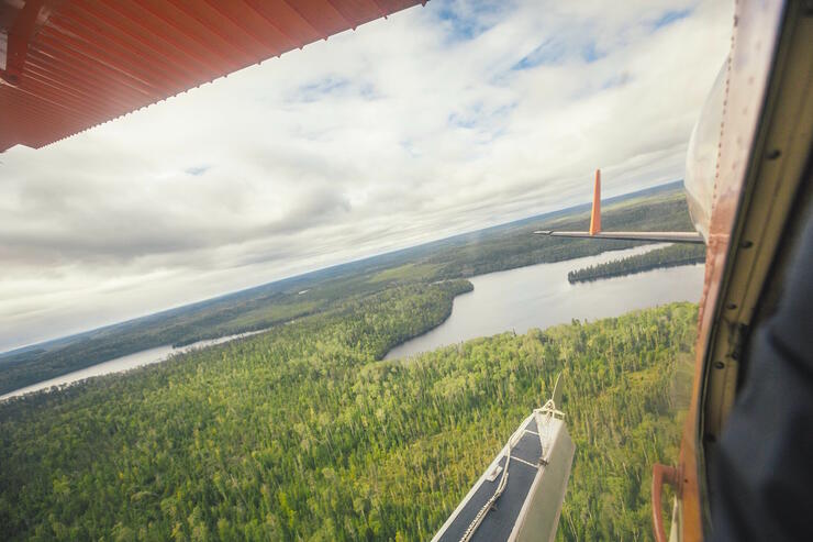 View of boreal forest and lake from a float plane.