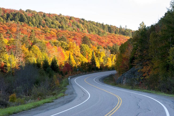 View of empty two lane highway with curve, with fall colours.