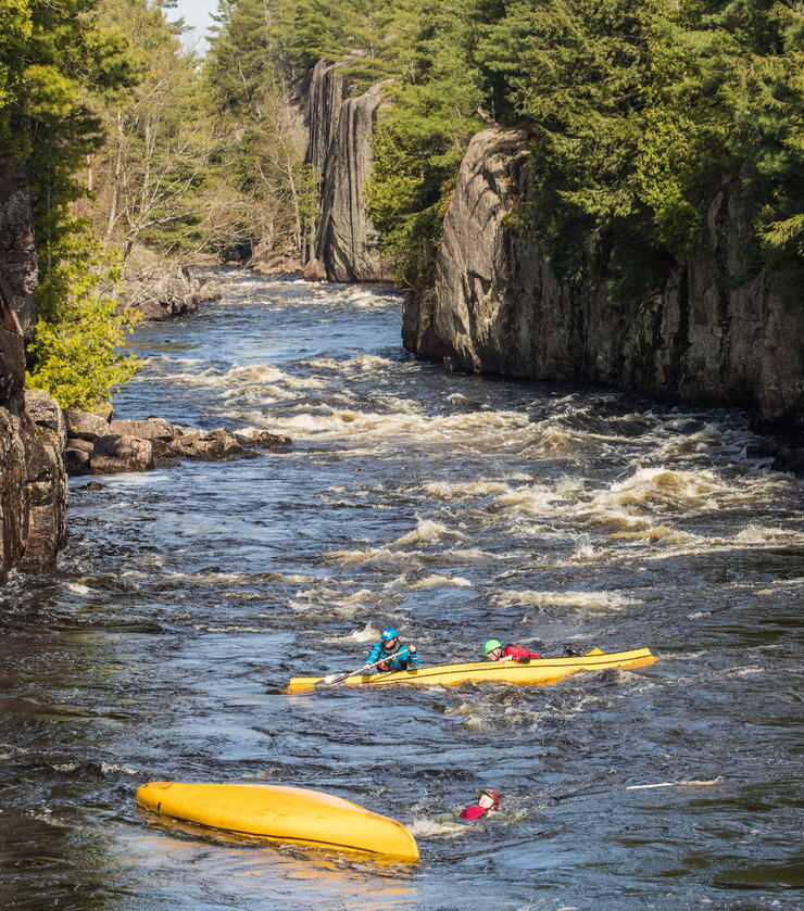 Two overturned yellow canoes with paddlers swimming along side in river rapids 
