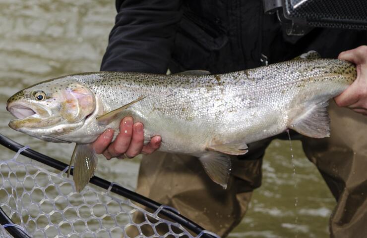 5 Big Water Ontario Fishing Locations to Conquer