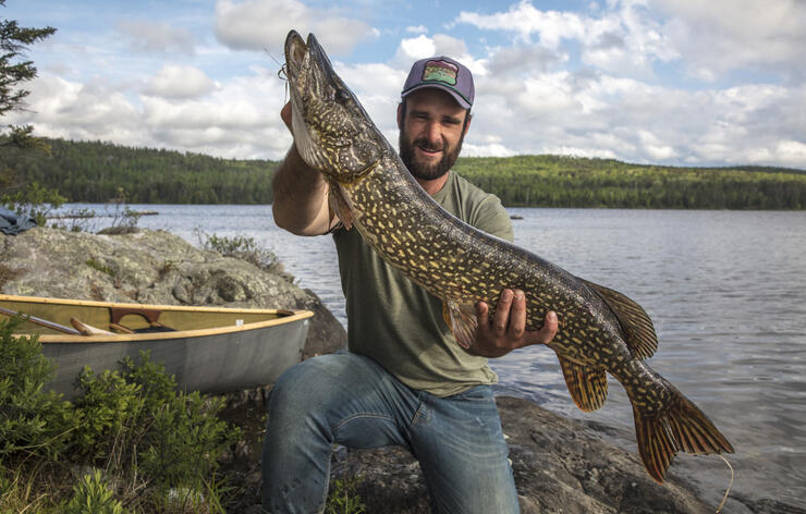 Man standing beside a canoe and lake holding a huge pike.