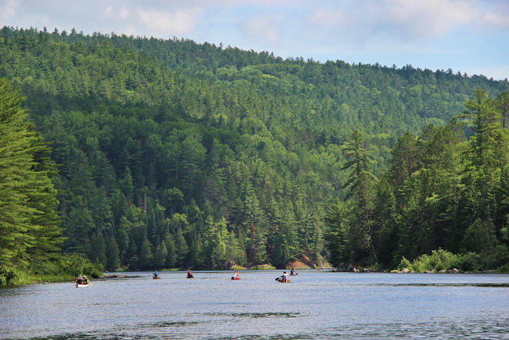 Many canoes in distance paddling on a river.