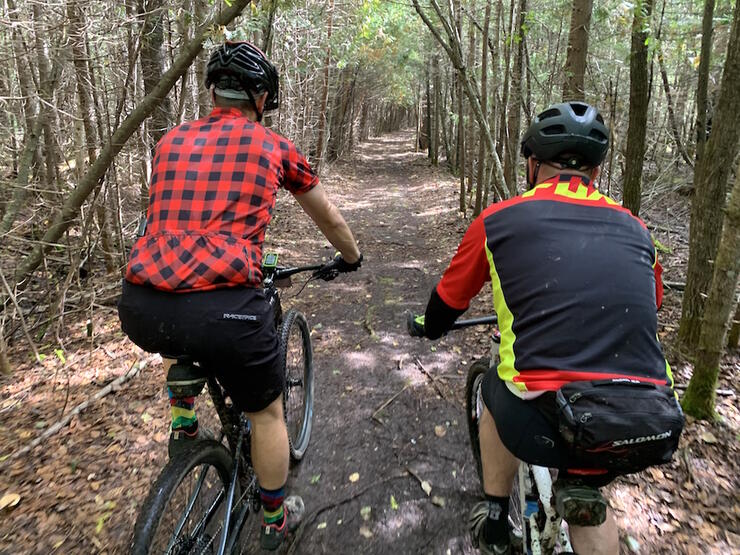Looking at the backs of two people riding mountain bikes on a trail in forest.