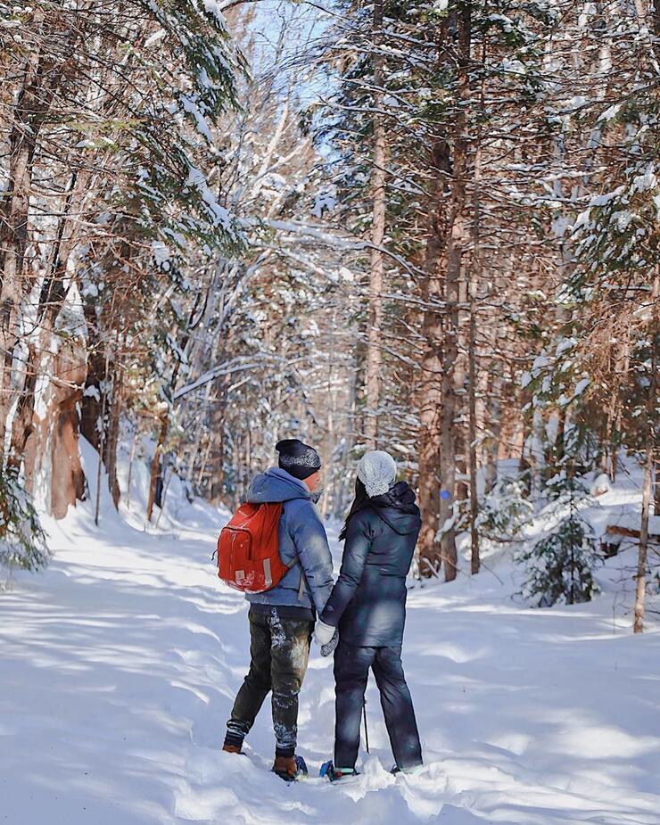 Couple holding hands on a snow covered path in a forest. 