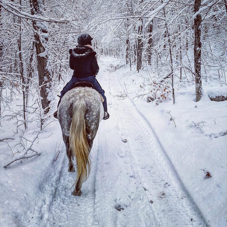 Woman riding on a horse in a snowy forest.