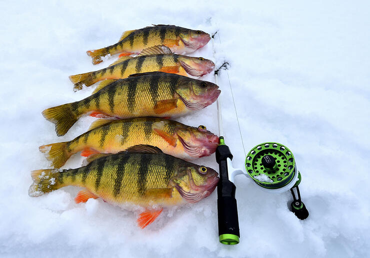 ice-fishing-3