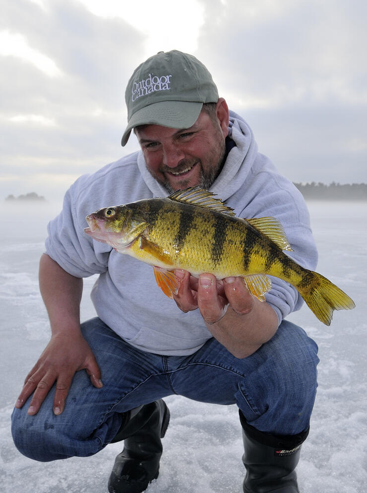 5 tips for catching jumbo perch throughout the open-water season • Page 6  of 6 • Outdoor Canada