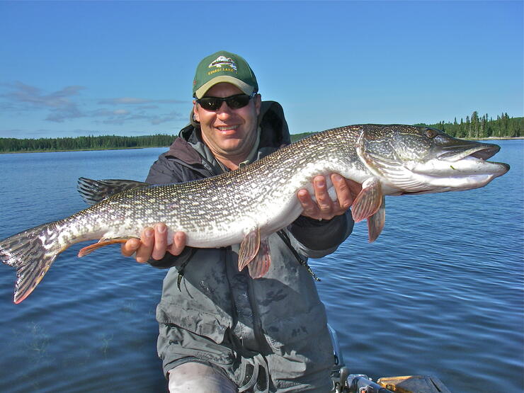 Lifelong Love of Northern Pike