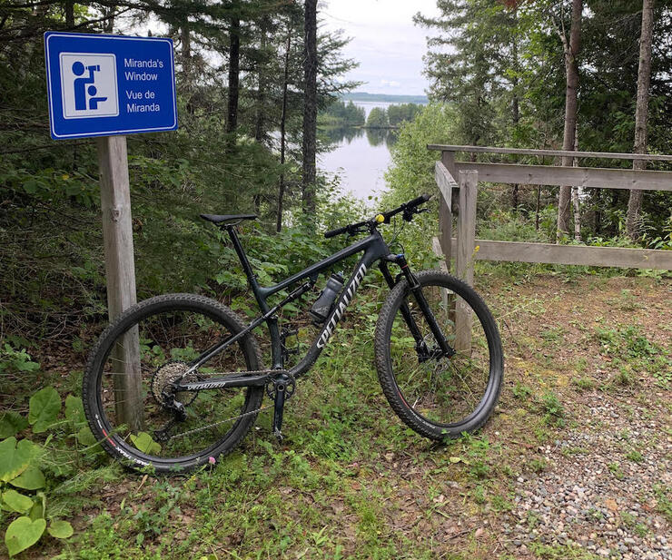 Bicycle leaning against a sign post. 