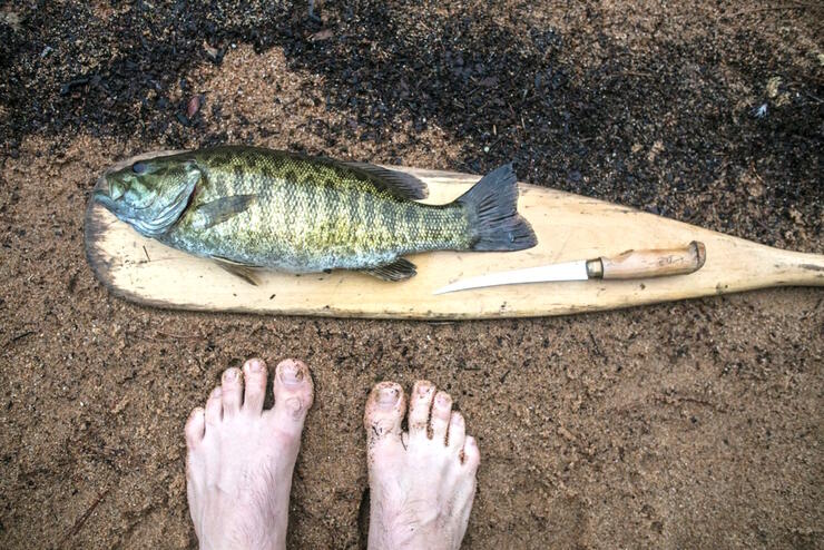 A fish and knife on a paddle