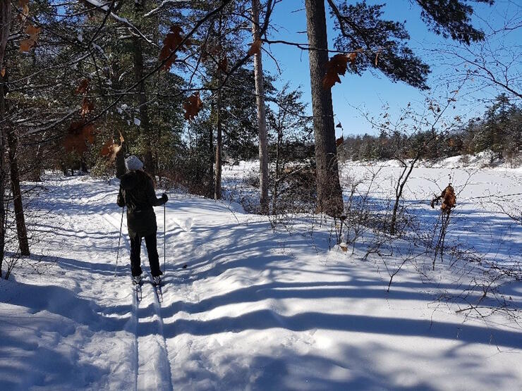 Cross country skiing beside a frozen river 