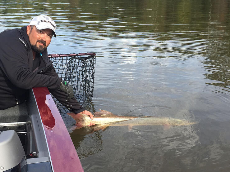 Insane 15 Minute Musky Feeding Window - Summer Musky Fishing 2023