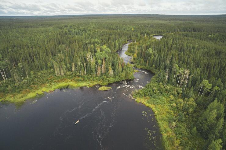 Areal view of the boreal forest and a lake. 